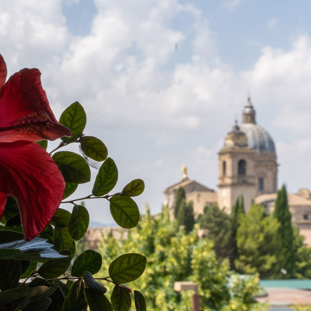 hotel-mom-assisi